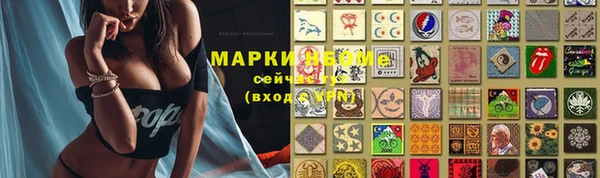 трава Аркадак