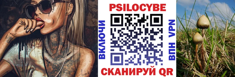 Купить закладки  Боготол  Псилоцибиновые грибы Psilocybe 